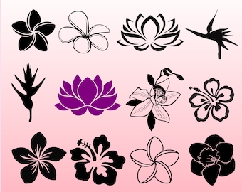 May include: A collection of 10 black and white flower silhouettes, including a hibiscus, plumeria, lotus, and orchid. The flowers are arranged in two rows of five.