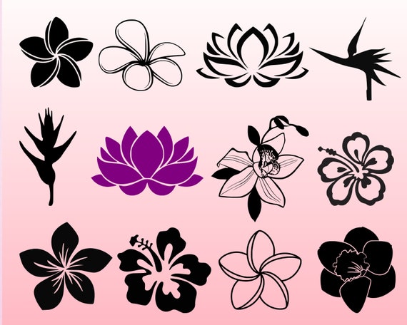 Download Tropical Flowers Svg Bundle Svg Flowers Svg Hibiscus Svg Etsy