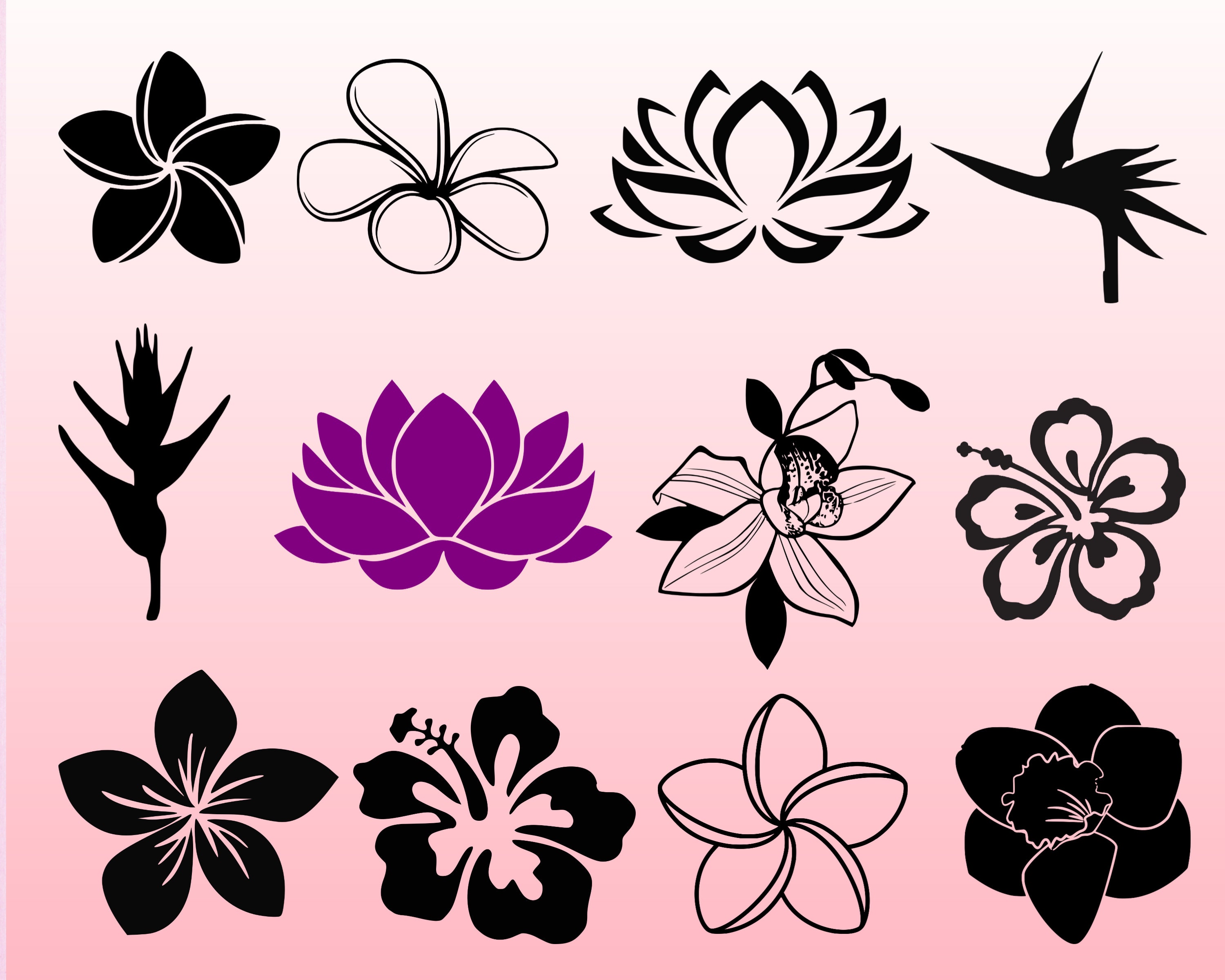 Download Tropical Flowers Svg Bundle Svg Flowers Svg Hibiscus Svg Etsy