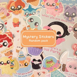 Borsa misteriosa / Adesivi per borse carine / Adesivi Kawaii / Adesivi Meme / Regalo a sorpresa carino / Mistero / Adesivi impermeabili / Dorkichan