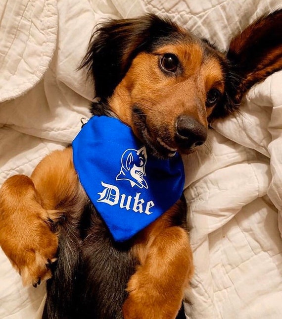 Pets First College Duke Blue Devils Pet Bandana, 3 Sizes Available