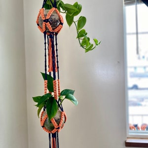 May include: A macrame plant hanger with two orange and blue hanging planters. The planters are filled with green plants and are suspended from a ceiling.