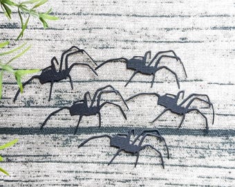 May include: Five black spider cutouts with long legs are arranged on a textured, light-colored surface. Green leafy sprigs are in the upper left corner. The spiders are a Halloween or spooky-themed craft supply.