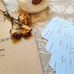 Set of 10 Light Blue Inventory Tags, Retro, Ephemera, Perforated, Numbered, Junk Journal, Supplies, Tag-Making, Collage, Mixed Media