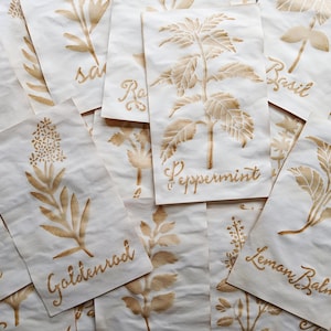 Confezione di carta di varietà HERBAL tinta al caffè, modello, fatta a mano, macchiata al caffè, carta tinta, diario spazzatura, diario d'arte, collage, tecniche miste