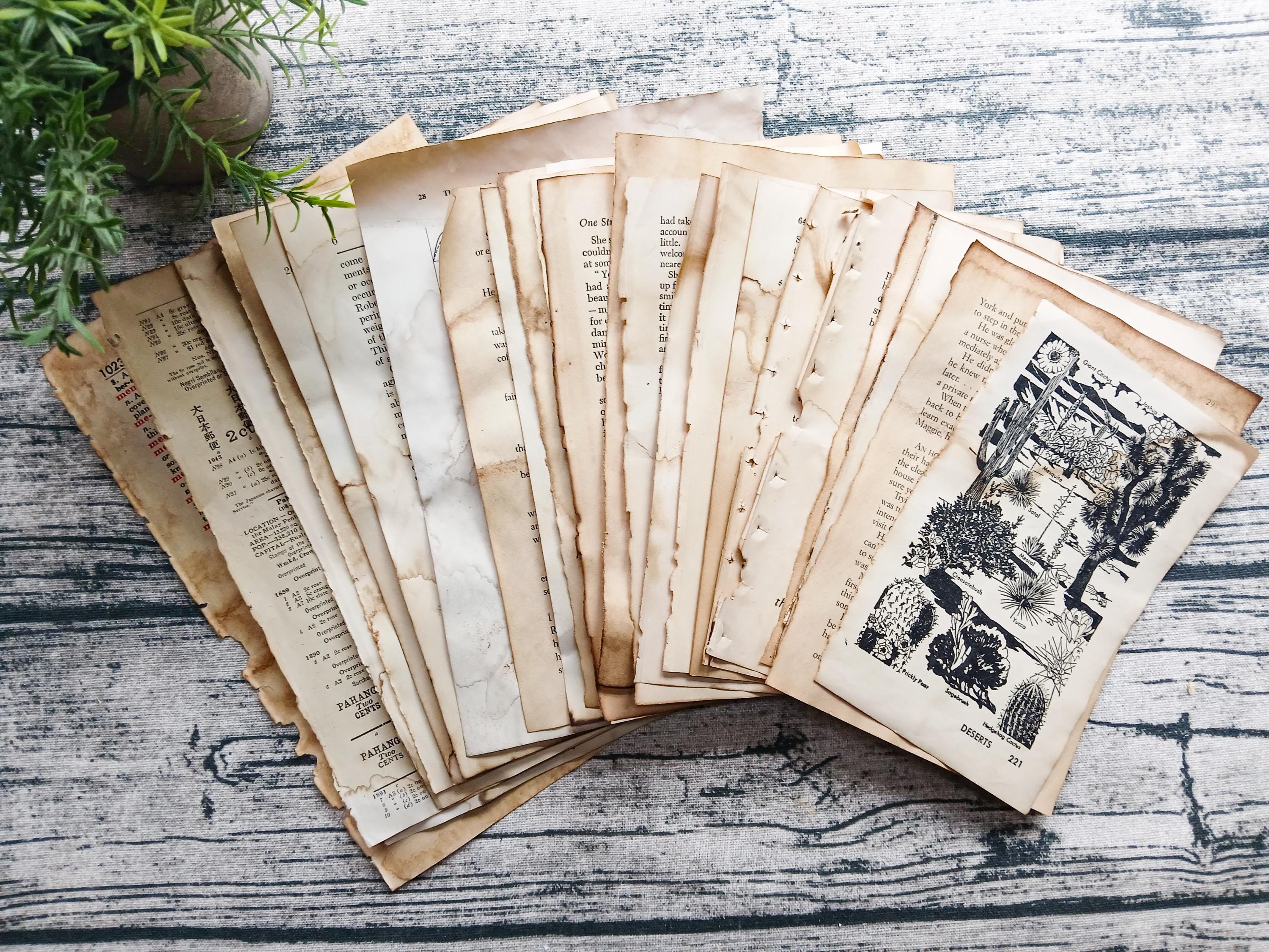 コーヒー染めのヴィンテージブックページ：汚れたジャーナルペーパー