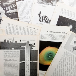 Vintage populärwissenschaftliche Buchseiten | Junk Journal | Kunst Journal | Lexikon | 20er Set