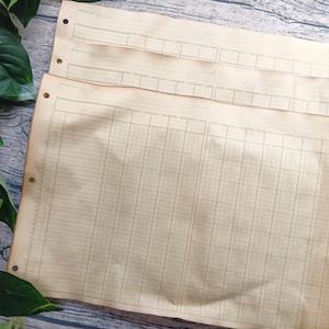 Papel de contabilidad teñido de café: hojas grandes rayadas, juego de 3