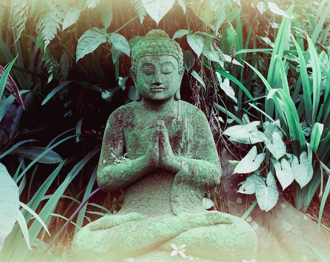 BuddhaBali