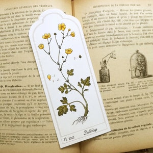Buttercup Bookmark