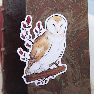 Sleepy Owl Sticker