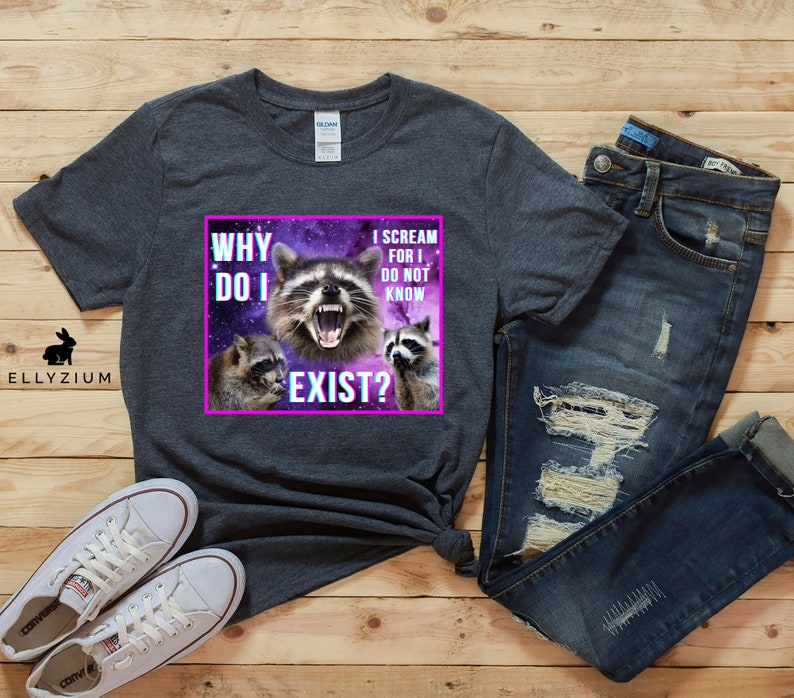 May include: A dark heather grey t-shirt with a graphic of a raccoon with the text "Why do I exist? I scream for I do not know" in a pink box.