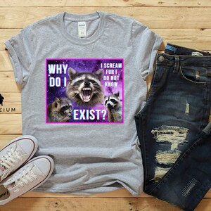 May include: Gray t-shirt with a graphic of raccoons in a galaxy background. The text on the graphic reads "Why do I exist? I scream for I do not know."