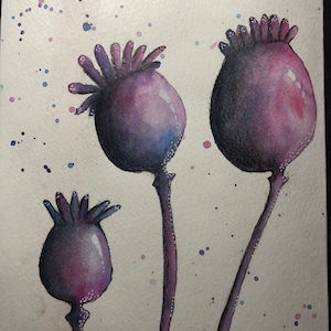 Mindful Water Colour Monthly Class: October 2020 Nuts, seeds and seedpods with Rae Creates FULLY TAUGHT and Downloadable