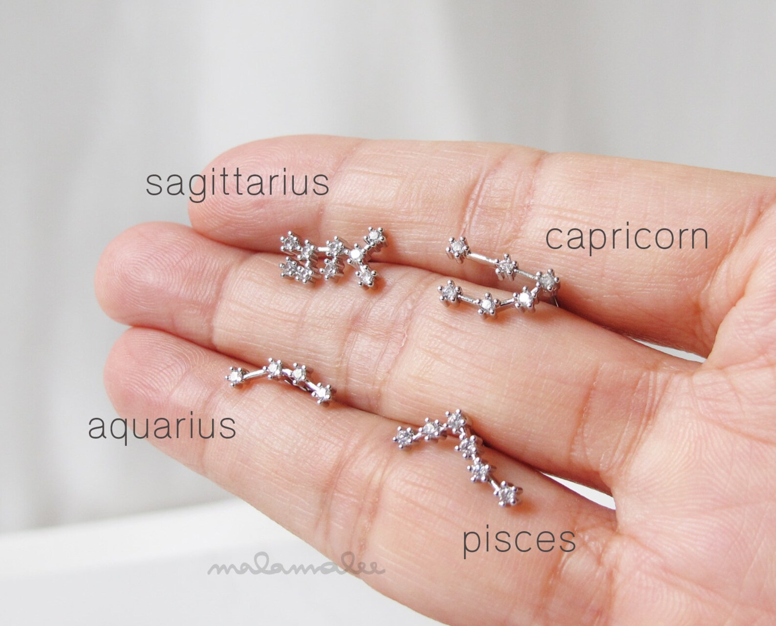 12 Zodiac Constellation Ear Piercing CZ Stud Earrings 20G Etsy