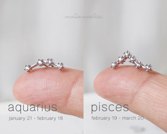 12 Zodiac Constellation Ear Piercing, CZ Stud Earrings, 20G