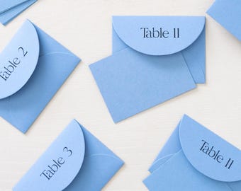 Custom Printed Wedding Escort Envelope + Blank Insert Card Set (Set of 10)