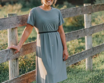 Sagebrush Swing Dress