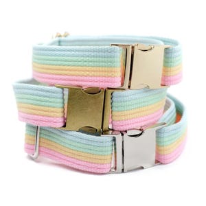 May include: Three pastel rainbow-striped dog collars stacked on a white background. Each collar has a different metal buckle: gold, silver, and gold. The collars are made of a soft, woven material.