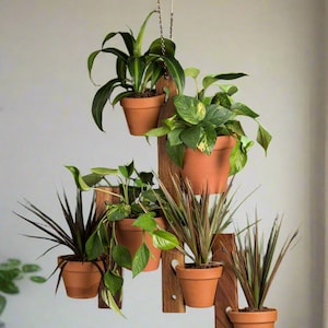 May include: A wooden hanging planter with multiple terracotta pots, each holding a variety of green plants. The planter is suspended by a chain and rope, creating a tiered display for indoor or outdoor use. The plants have various leaf shapes and colors.