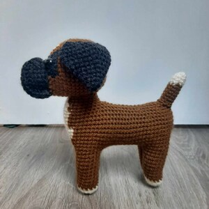Op de afbeelding: Een bruine gehaakte boxerhond met zwarte oren en witte accenten op de poten en de staart.