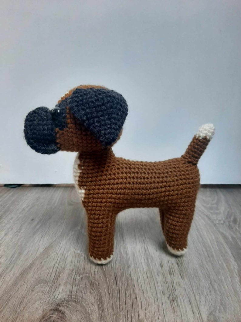 Op de afbeelding: Een bruine gehaakte boxerhond met zwarte oren en witte accenten op de poten en de staart.
