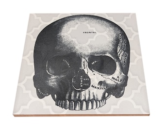Anatomical Skull Ceramic Tile Trivet: Engraved Kitchen Hot Pad