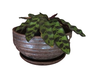 Rustic Stoneware Planter with Saucer