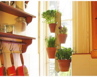 PotNotch Wooden Plant Pot Hanger