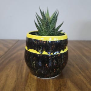 Bumblebee - Wheel thrown pot with a curvy exterior, speckled masquerade and glossy yellow glaze