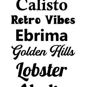 Pu&ograve; includere: Un'immagine in bianco e nero con un elenco di nomi in diversi caratteri. I nomi sono: Luckiest Guy, Calisto, Retro Vibes, Ebrima, Golden Hills, Lobster e Aladin.