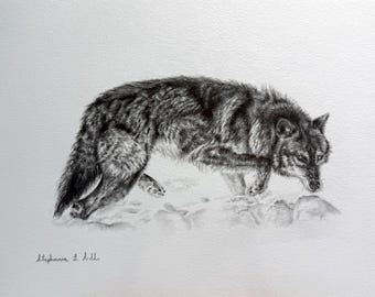 Original Wolf Pencil Drawing