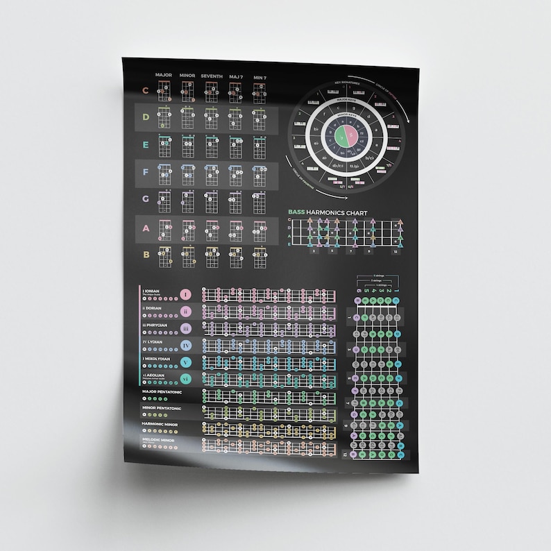 Bass Guitar Cheat Sheet Poster – Chords, Scales, Circle of Fifths (24x36)
