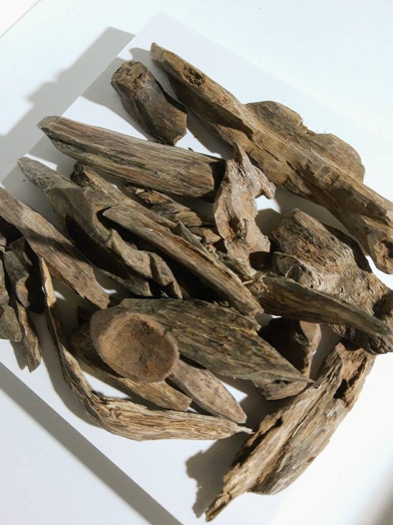 Philippines Filipino Agarwood Oud Etsy