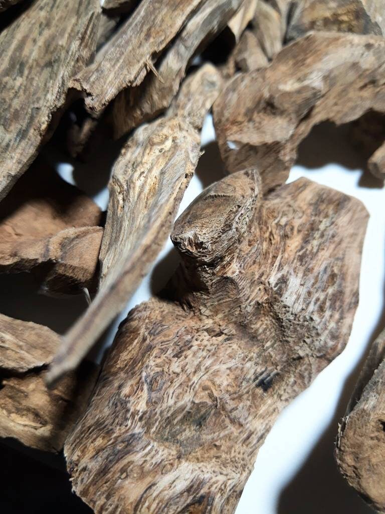 Philippines Filipino Agarwood Oud Etsy