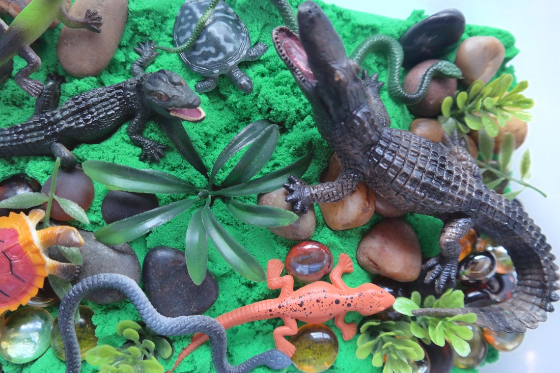 Reptile Sensory Bin With Play Sand Etsy