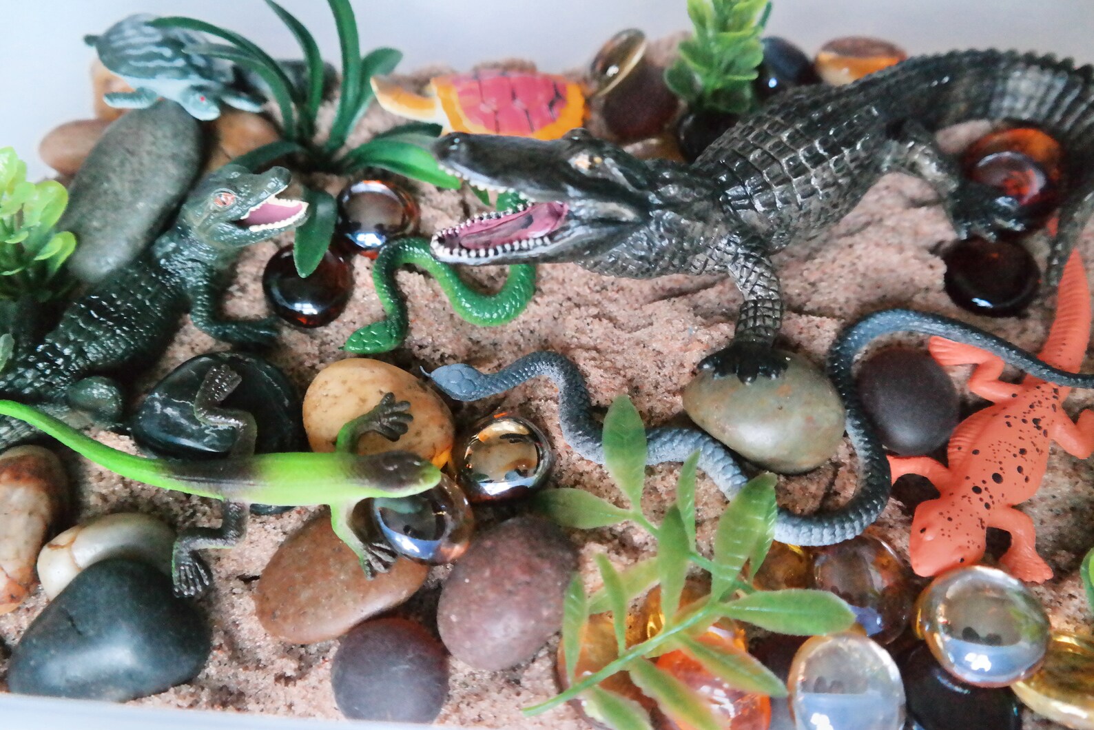 Reptile Sensory Bin With Play Sand Etsy