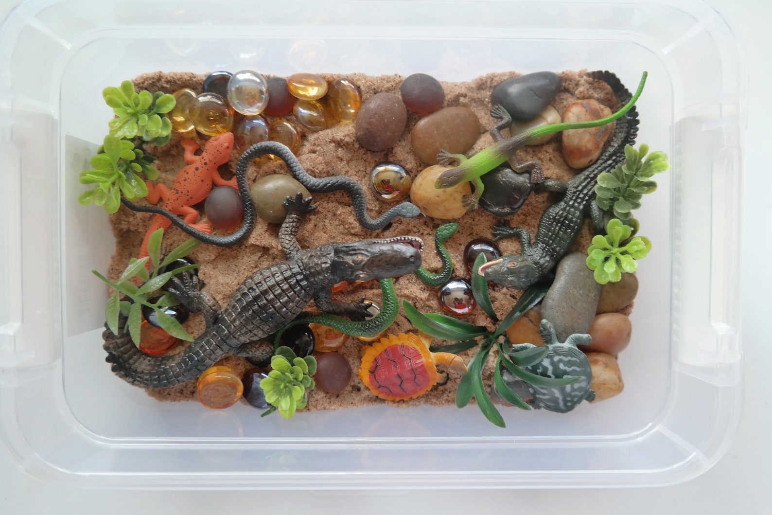 Reptile Sensory Bin With Play Sand Etsy