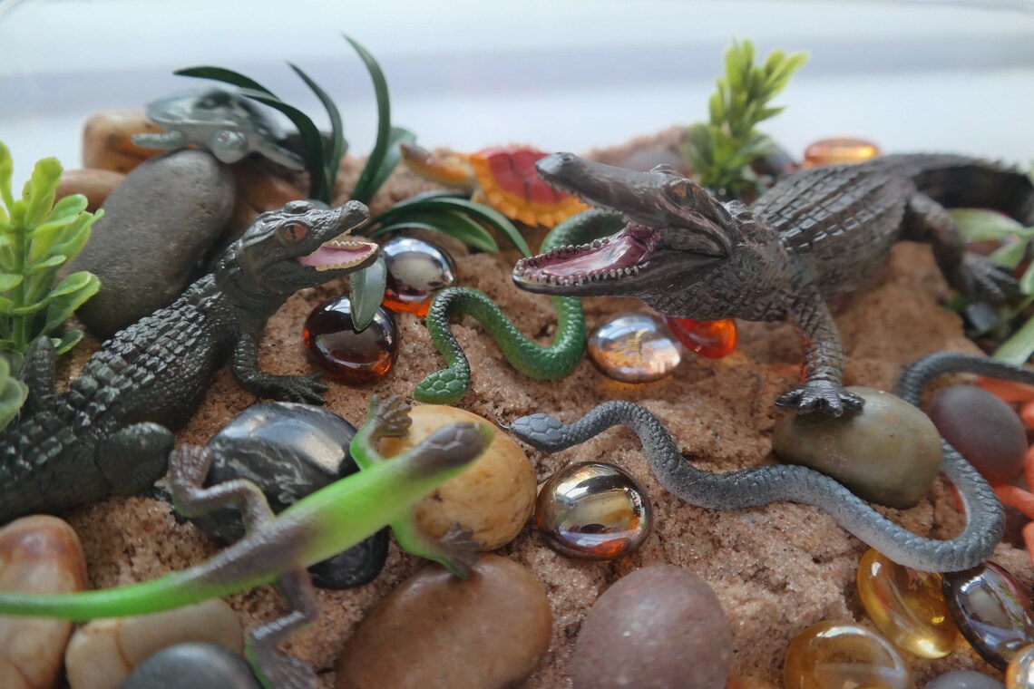 Reptile Sensory Bin With Play Sand Etsy