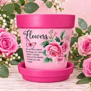 May include: A light pink flower pot with a dark pink rim and matching saucer. The pot features a pink butterfly, a bouquet of pink roses, and the text: Flowers. Do not worry about the things you cannot control. Instead, focus on the beauty of what you can create.
