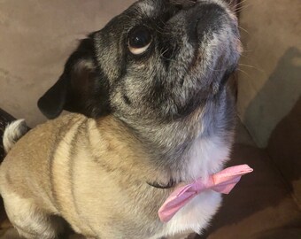 Classic Dog Bow Tie - Pink and White Polka Dots