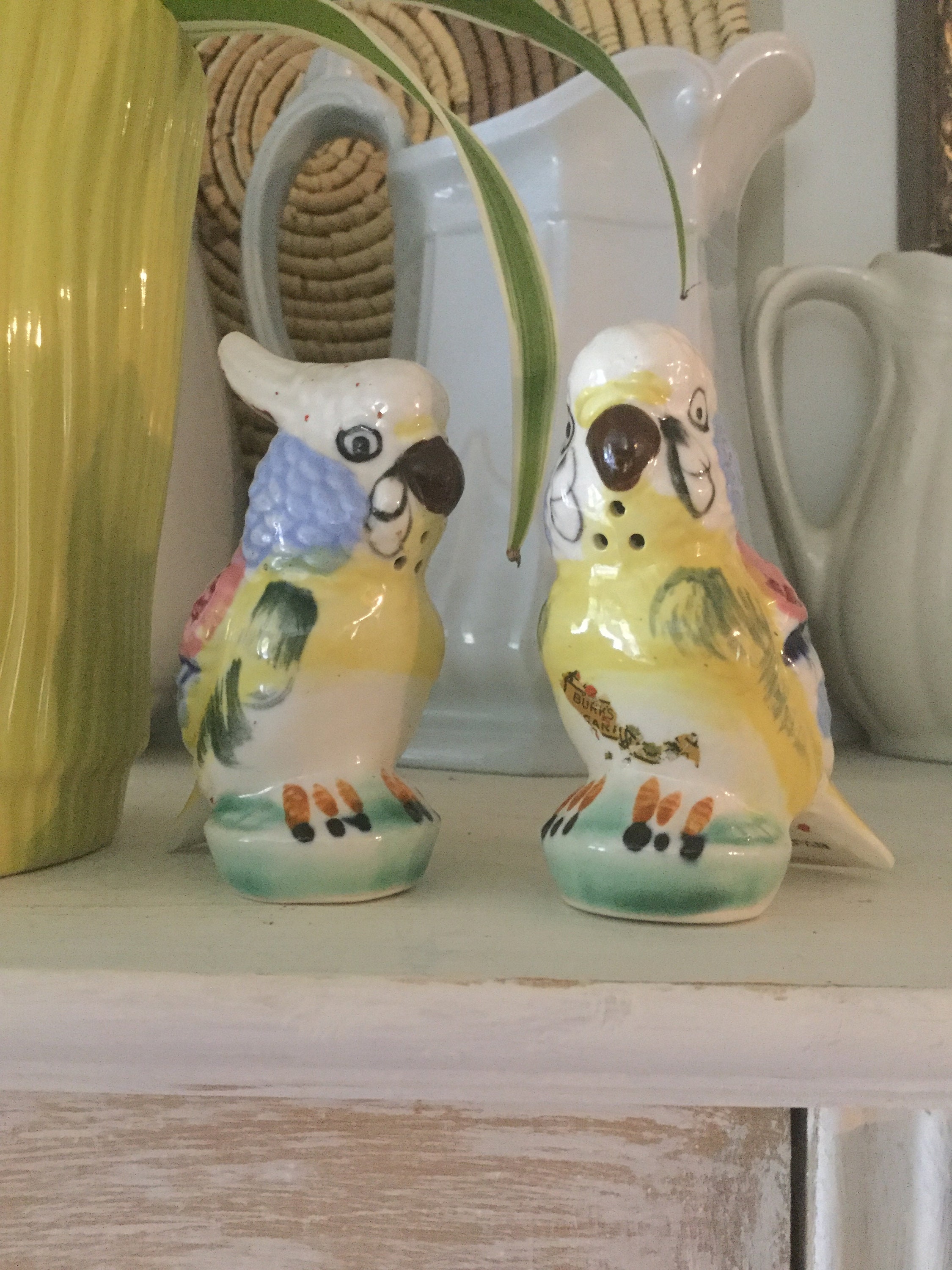 Parrots Salt and Pepper Shakers Set Japan Etsy