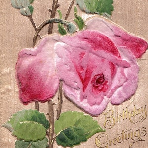 Embossed  Vintage Post Card Birthday Greetings 1907
