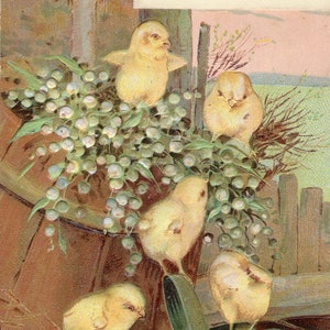 Vintage Post Card  Happy Birthday