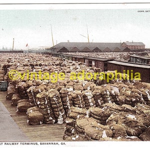 Vintage Post Card Phostint Detroit-Katoen bij Railway Terminus, Savannah GA