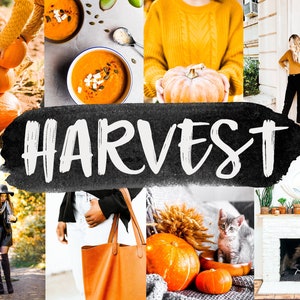 Fall presets,Instagram filters,Lightroom mobile presets,Lightroom presets,Preset lightroom mobile,Lightroom preset,Instagram preset,Presets