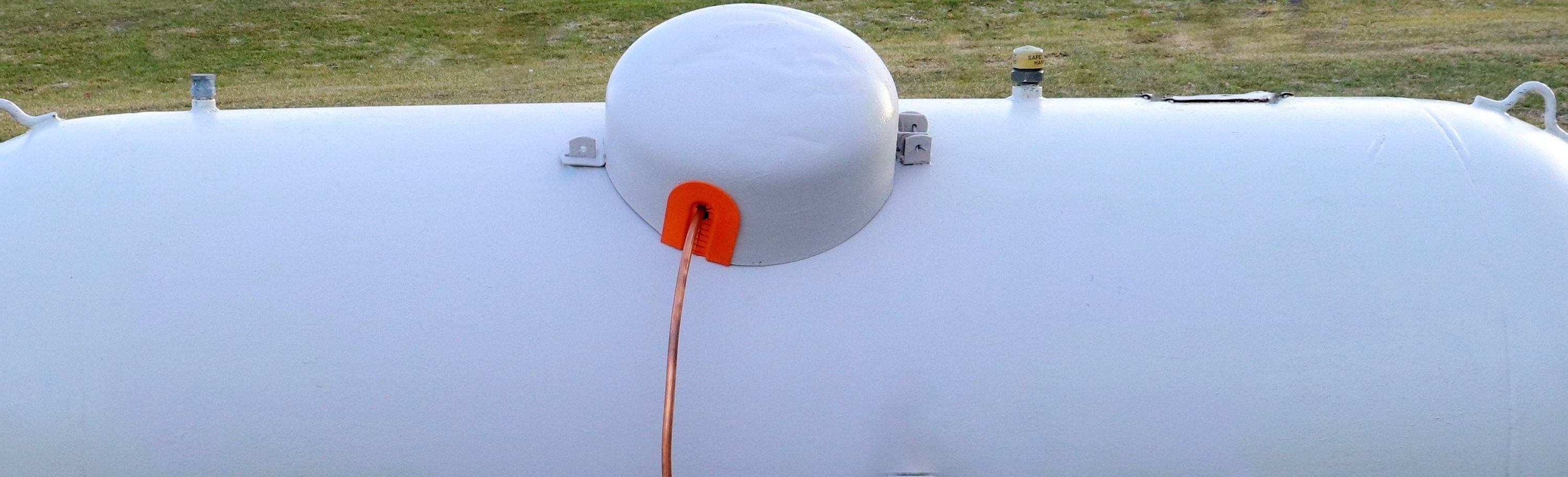 Frustrated With Birds Nesting Under Your Propane Tank Dome Use Promo