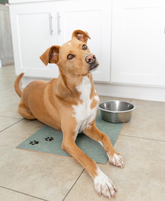 rubber mat for dog bowls