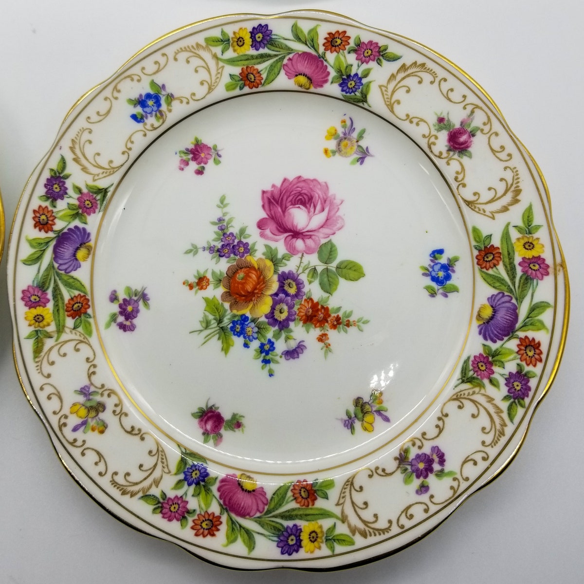 Set of Dresden 6in Plates - Etsy