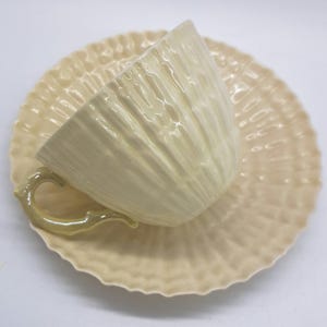 May include: A cream-coloured teacup and saucer set. The cup has vertical ribbed detailing and a curved handle. The saucer has a scalloped edge. The set is made of ceramic and is suitable for serving tea or coffee.